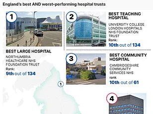 Stark Divide in England's Cancer Treatment Waits Reveals Regional Inequality Concerns