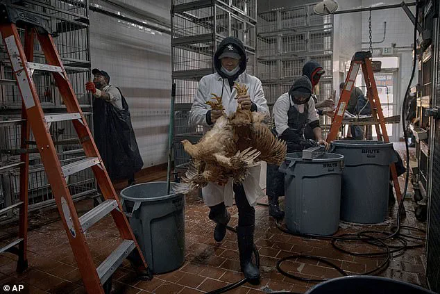 David Quammen Issues Urgent Warning Over Undetected Bird Flu Case in Washington State, Heightening Pandemic Fears