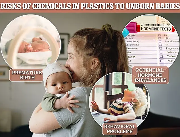 Exclusive Report: Phthalate Exposure in Fast Food Chains Sparks Health Concerns and Expert Warnings