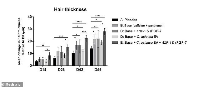 Groundbreaking Study from Taipei Reveals Centella Asiatica's Potential to Reverse Hair Loss with Novel Serum