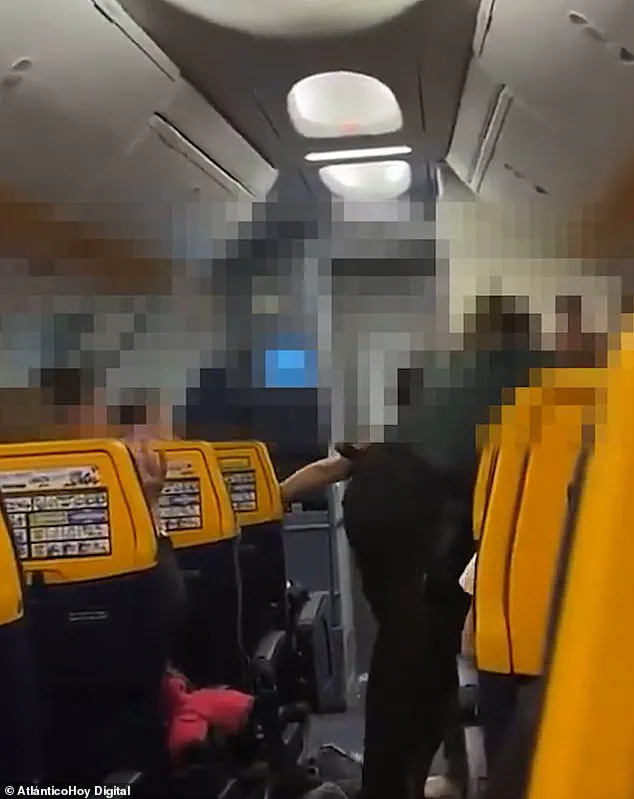 Irish MMA Fighter Arrested on Ryanair Flight After Alleged Attack on Spanish Police Officers
