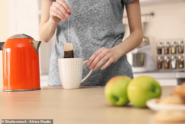 Silent Public Health Crisis: Microplastics in American Homes Linked to Cancer, Experts Warn