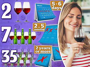 The Impact of Aging on Alcohol Tolerance and Hangover Frequency