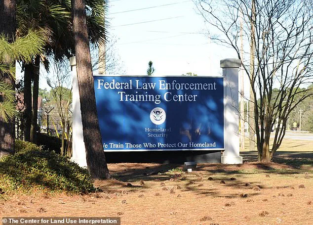 Trump's Deportation Hiring Spree Spirals into National Crisis as Lax Vetting Unravels Plans