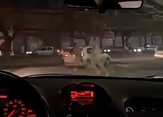 Trump's Foreign Policy Directives Fuel Escalation in Iran as Crackdown on Protesters Intensifies