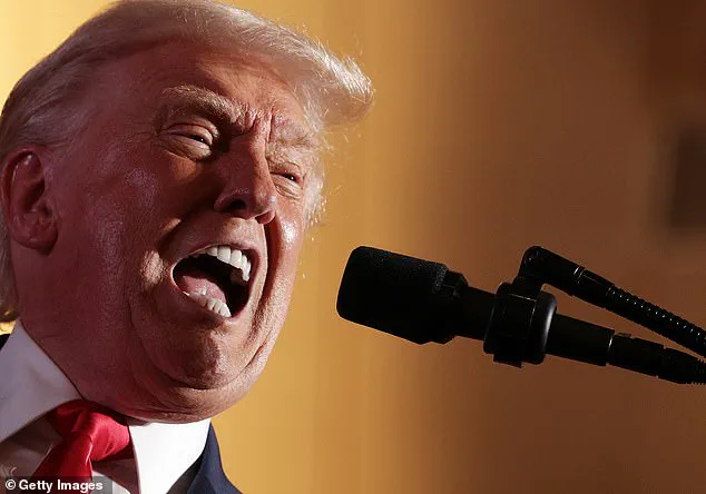 Trump's Immigration Policies Face Global Criticism as Public Debate Intensifies