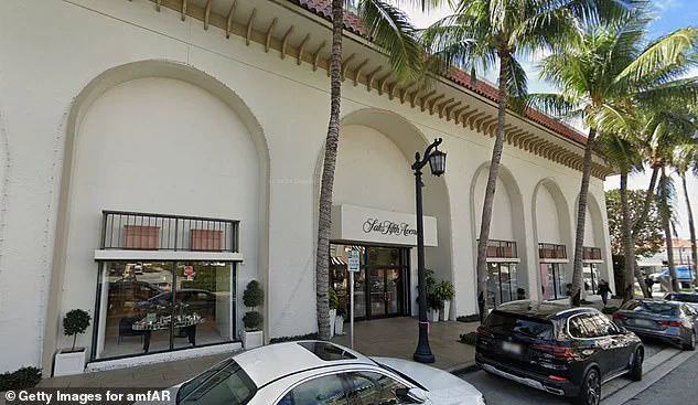 Privileged Access and the Battle for Palm Beach's Identity: How Elite Influence Shapes Development Debates