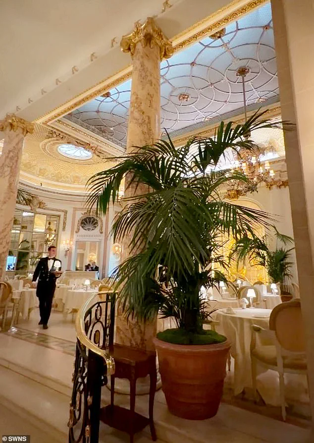 The Ritz London's Unwanted Guest: A Mouse Shakes the World of Afternoon Tea, as Diners Call It 'Unthinkable in Any Other Setting'