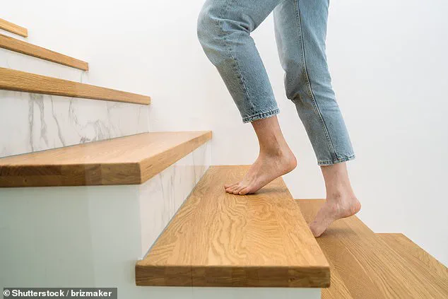 Walking Linked to Lower Risk of Cancer, Dementia, and Heart Disease, Studies Show