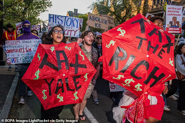 Yale University Professors' 2025 Election Donations Reveal Exclusive Democratic Support, No Republican Contributions
