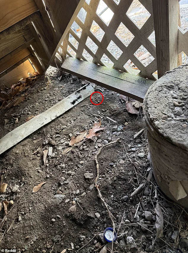 Desperate Husband's Reddit Plea to Recover Lost Wedding Ring Goes Viral