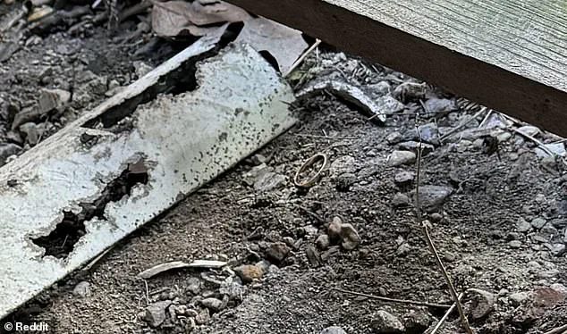 Desperate Husband's Reddit Plea to Recover Lost Wedding Ring Goes Viral