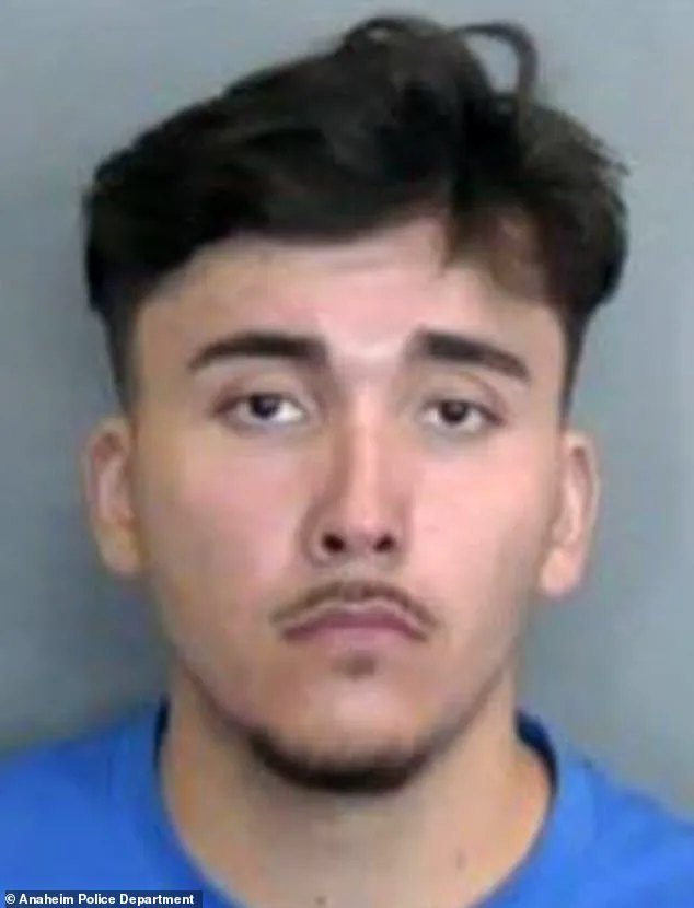 Tragic Collision in Anaheim Claims Life of Young Mother-to-Be; Driver Charged with Felony DUI and Vehicular Manslaughter