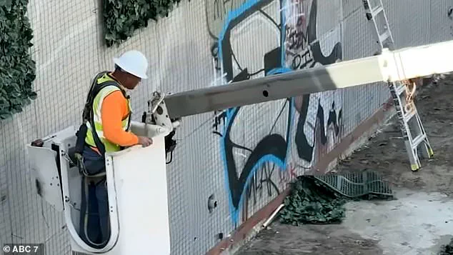 Vandalism Undermines Clean California Initiative's Artificial Ivy Wall