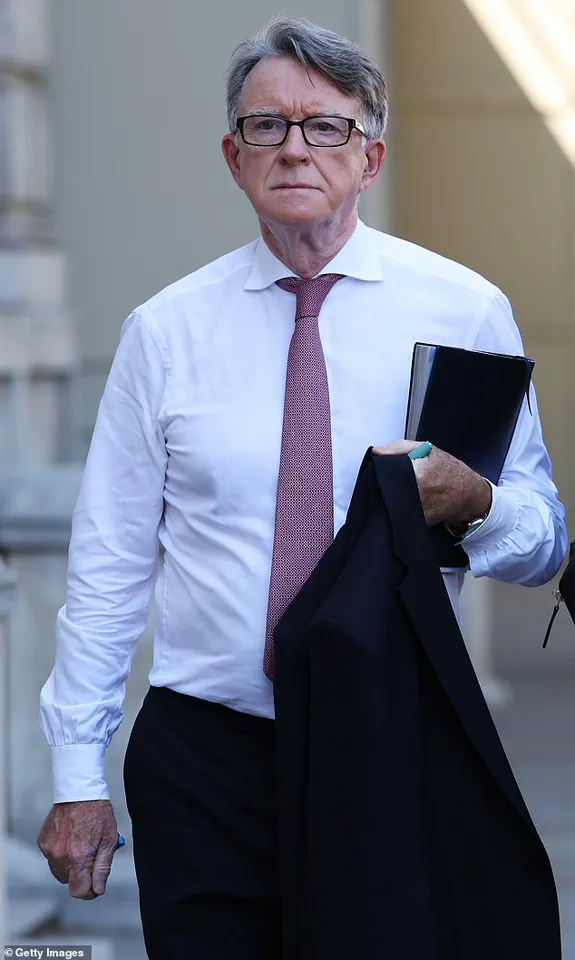 Alleged Photo of Peter Mandelson in Epstein's Mansion Emerges from Epstein Files, Sparks Urgent Questions