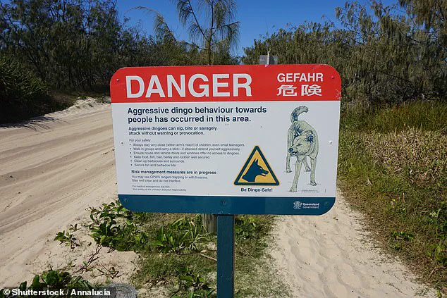 TikTok Video Sparks Debate Over Safety Protocols on K'gari Island After Tragic Death of Backpacker Piper James