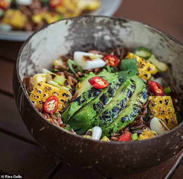 Exclusive Insights: How Experts Reimagine Winter Salads for Warmth and Nutrition