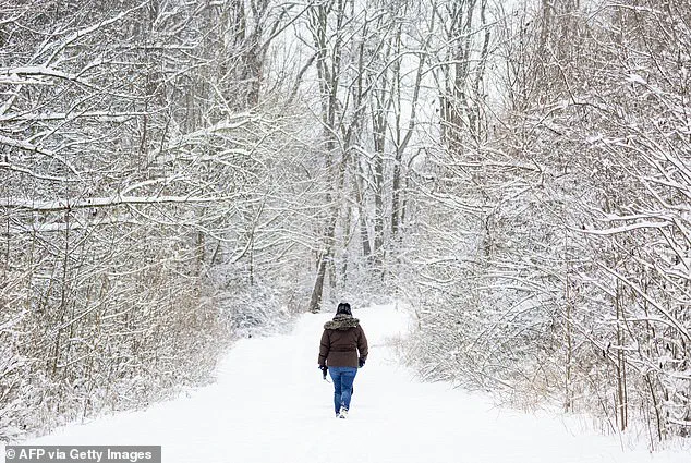 Tragic Winter Storm Fatality in Annapolis: Avid Hiker Portia Latrice Jones Dies After Ice Slip