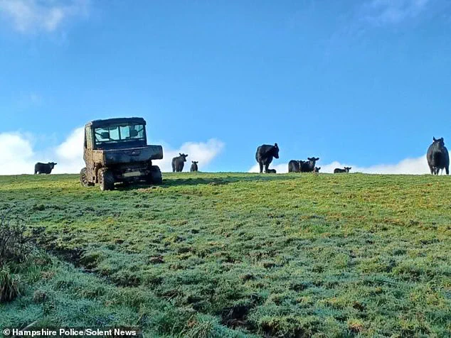 Dog Walker Trapped in Tree by Enraged Cow, Sparking Warnings About Livestock Encounters