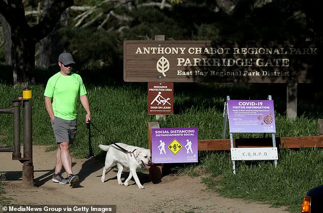 California Faces Deadly Mushroom Crisis as Four Die, 40 Hospitalized