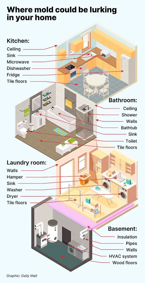 Childhood Exposure to Toxic Mould Linked to Persistent Lung Issues in Adolescence, University of Bristol Study Reveals