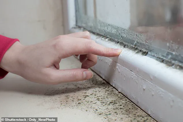 Childhood Exposure to Toxic Mould Linked to Persistent Lung Issues in Adolescence, University of Bristol Study Reveals