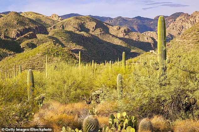 Arizona's Most Challenging Manhunt: Search for Missing Nancy Guthrie in Catalina Foothills