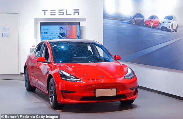 Family Sues Tesla in Wrongful Death Lawsuit Over Defective Door Handle in Fatal Crash That Killed Their 20-Year-Old Son