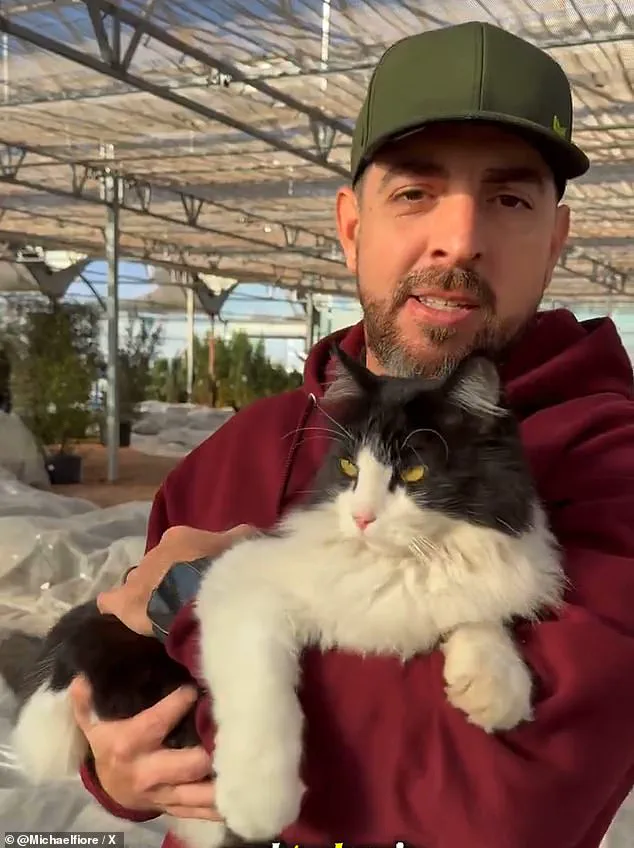Viral Video of Sylvester, the Rat-Catching Cat, Turns Texas Garden Center into Internet Sensation