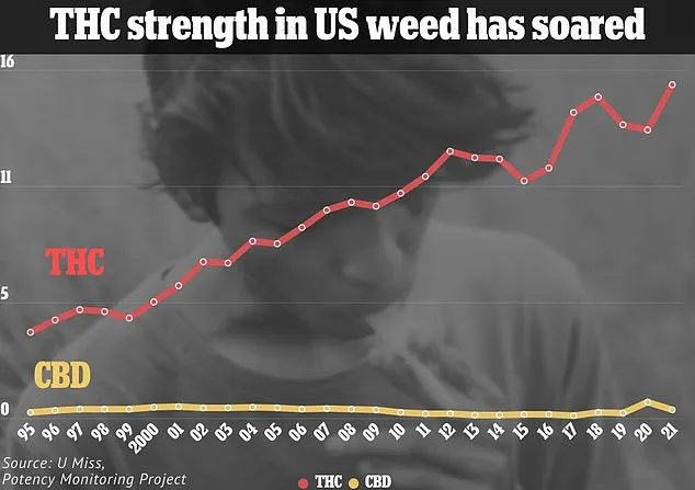 Moderate Cannabis Use Linked to Increased Brain Volume in Memory Regions, Study Suggests