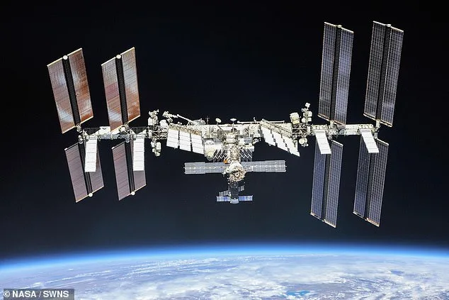 Summer Worden Sentenced to 3 Months for Fabricating ISS Hacking Claims in Divorce Battle