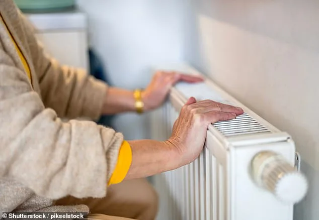 UKHSA Report: Cold-Related Deaths Among Over-85s Surge in 2024/25 Winter, January Snap Claims 1,630 Lives