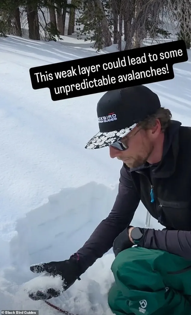 Blackbird Mountain Guides' Avalanche Warning Ignored Ahead of Deadly Lake Tahoe Disaster