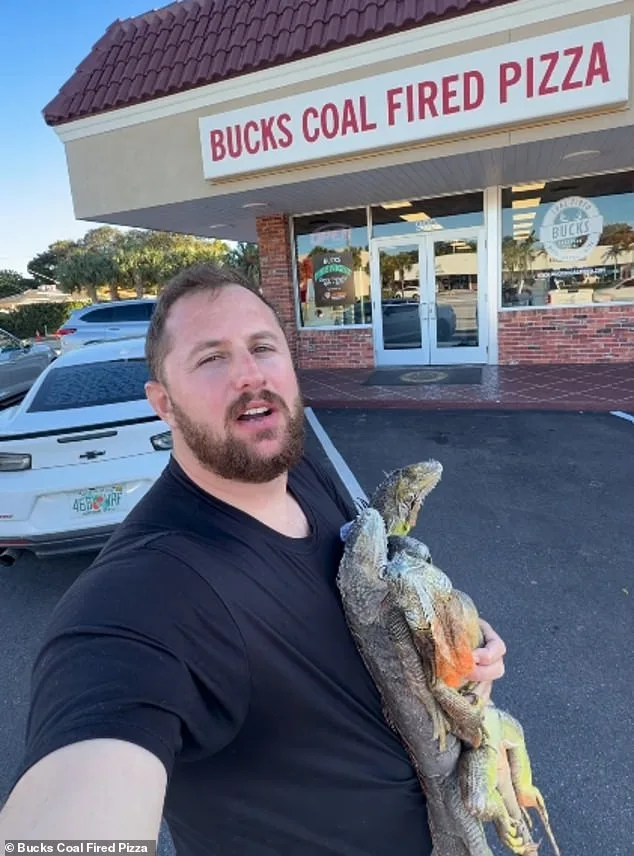 Florida Pizza Shop's Iguana-Meat Prank Sparks Controversy Over Ethics and Health Codes