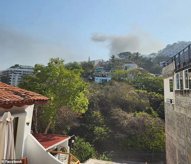 Trapped in Cartel Chaos: Two Friends' Fight for Survival in Puerto Vallarta