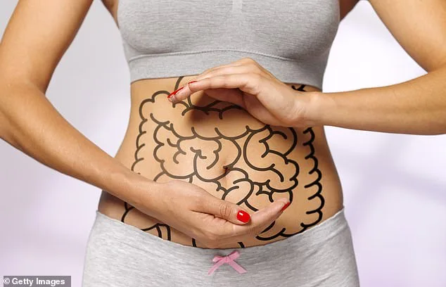 How Daily Habits Shape Brain Health: Unveiling the Gut-Brain Connection