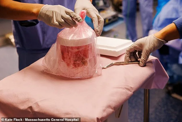 From Desperation to Innovation: The Genetically Modified Pig Kidney Transplant Offers New Hope for Patients Like Tim Andrews