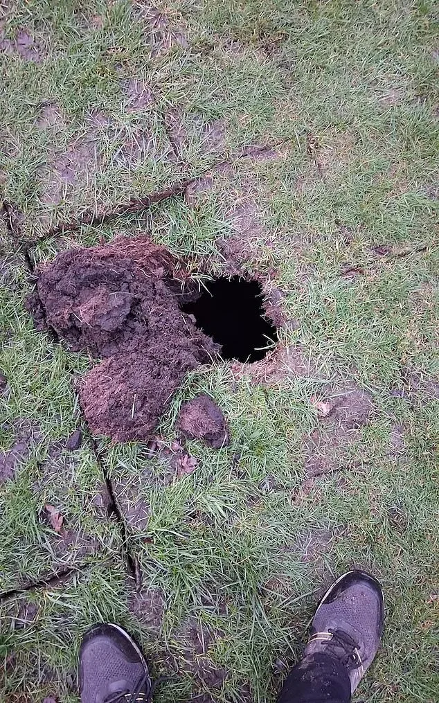 Golf Course Worker Discovers 19th-Century Wine Cellar Tied to Historical Davyhulme Hall