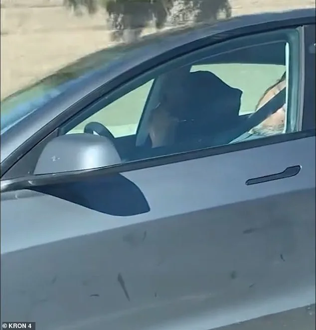 Elderly Man Asleep at Wheel of Tesla in Autopilot Mode on Highway