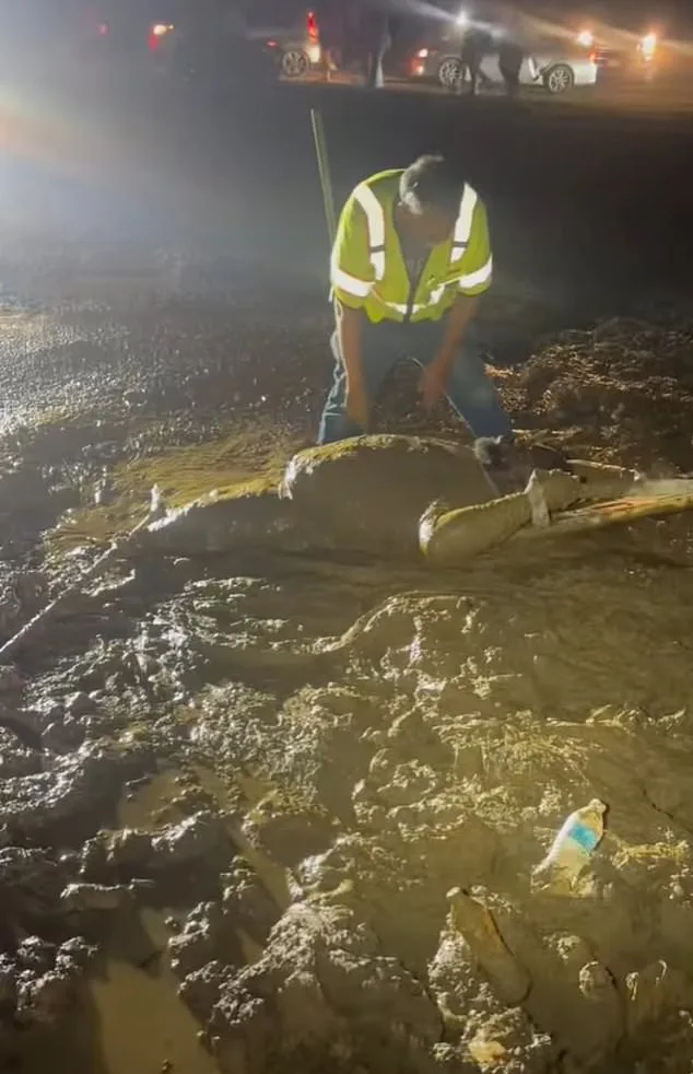 Mississippi Man Trapped in Mud During Trail Ride Event