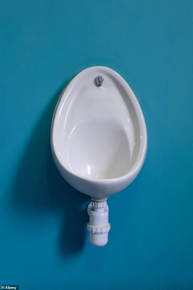 Neglecting to Wipe After Urinating: Men's Health Experts Sound Alarm Over Serious Infection Risks