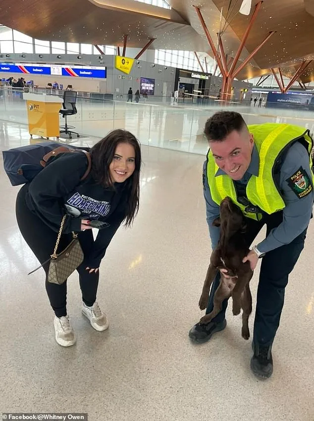 Man Charged with Animal Cruelty After Abandoning Dog at Pittsburgh Airport