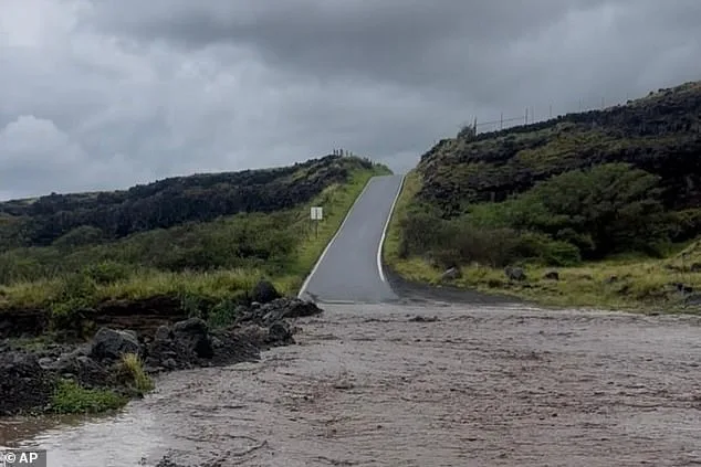 From Mexico to Hawaii: A Vacation Upended by Cartel Chaos and Hurricane Deluges