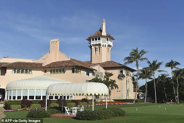 Great White Shark Spotted Near Trump's Florida Resort