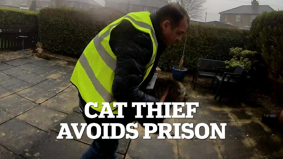 New pet laws spare cat thief from jail after he returns Nora.