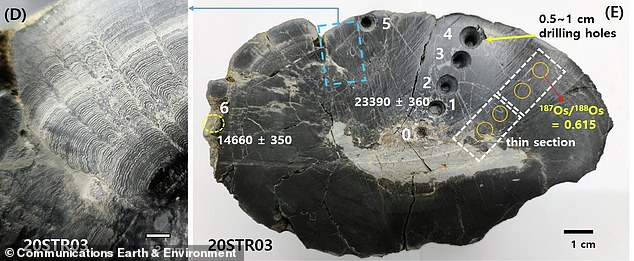Alien material in Korean crater sparks new questions about life's origins.