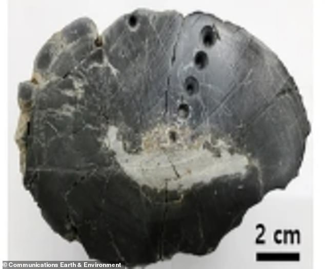 Alien material in Korean crater sparks new questions about life's origins.