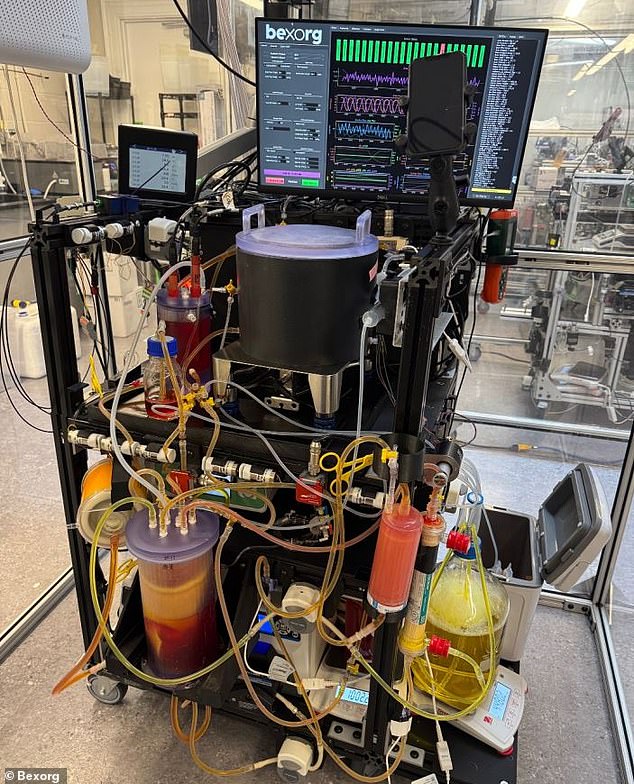 Scientists Preserve Human Brains in Tanks to Study Disease Progression