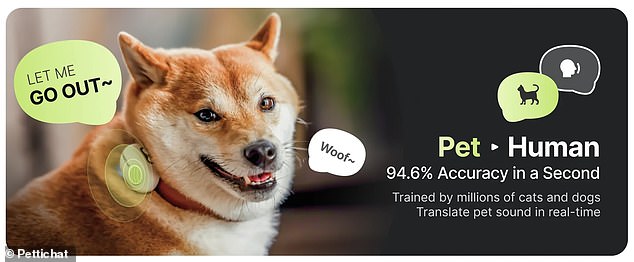 Chinese Startup Launches AI Collar That Claims to Translate Pet Speech